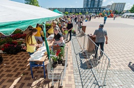 Wymieniali odpady na rośliny
