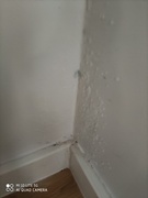 \"Grzyb w mieszkaniu zabija moje dziecko\"