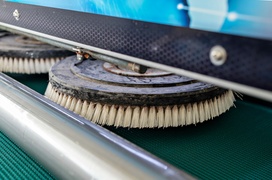 Po wizycie w tej pralni dywan będzie jak nowy