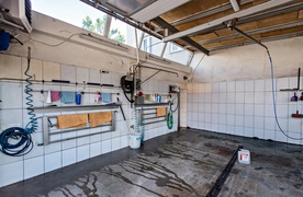 Po wizycie w tej pralni dywan będzie jak nowy