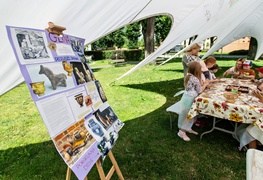 Nie święci garnki lepią