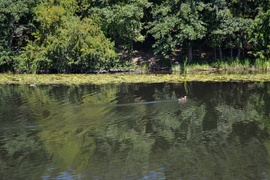 „Demonem“ po Pętli Żuławskiej