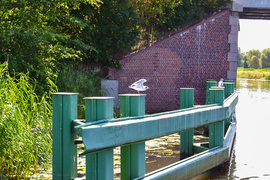 „Demonem“ po Pętli Żuławskiej