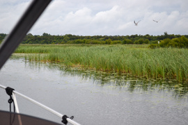 „Demonem“ po Pętli Żuławskiej