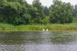 „Demonem“ po Pętli Żuławskiej