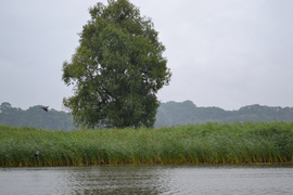 „Demonem“ po Pętli Żuławskiej