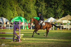 Dziennik Elbląski: Marzanny w jeziorze