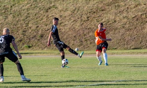 Pierwsze koty za płoty