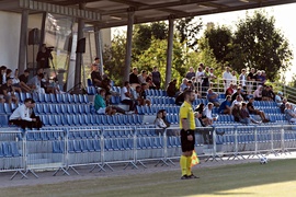 Pierwsze koty za płoty