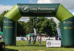 Mistrzowski trening w lesie