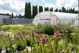 Nowy ogród na jesień