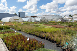 Nowy ogród na jesień