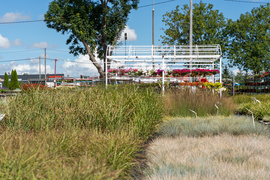 Nowy ogród na jesień