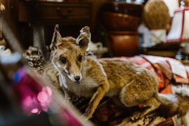 Galeria Starocie. Tu kupisz wyjątkowe przedmioty z duszą