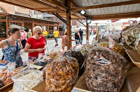 Wystartowało kolejne Elbląskie Święto Chleba