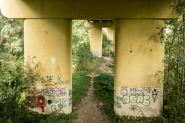 Tylko mury mówią prawdę