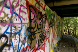 Tylko mury mówią prawdę