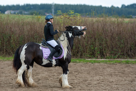 Urodzinowe skoki przez przeszkody