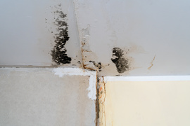 Mieszkaniec: \"Woda leje się na elektrykę\"