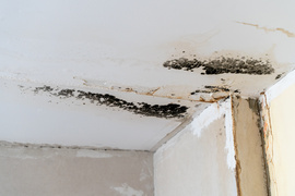 Mieszkaniec: \"Woda leje się na elektrykę\"