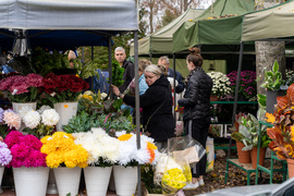 Elblążanie szykują się na 1 i 2 listopada