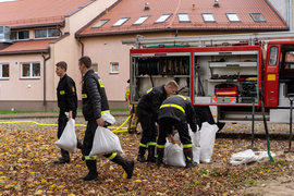 Strażacka młodzież ćwiczyła w Zwierznie