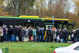 Na cmentarz głównie autobusem