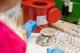 “Antybiotykoterapia musi być precyzyjna”