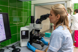 “Antybiotykoterapia musi być precyzyjna”