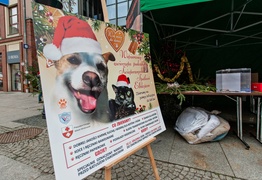 Spotkać się w świątecznym nastroju