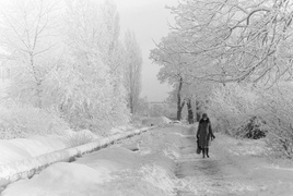 Elbląg podczas Grudnia 1970 w obiektywie (Elbląskie Archiwum Foto)