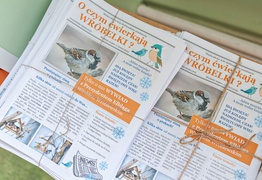 Eksperymenty - do nauki zachęty