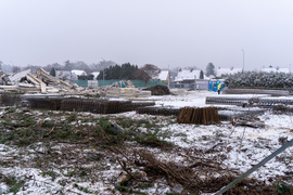 „Rosło tu dużo drzew, dlaczego je wycięto?”