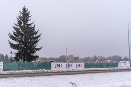 „Rosło tu dużo drzew, dlaczego je wycięto?”