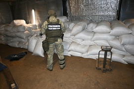 Bilans minionego roku Straży Granicznej