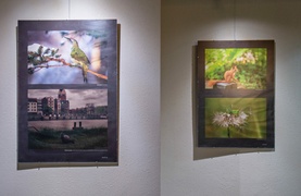 Wernisaż Fotki Miesiąca: \"Zdjęcia to piękne, zatrzymane chwile\"