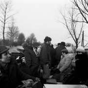 Wielka woda pod Elblągiem. Tak było 40 lat temu...  (Elbląskie Archiwum Foto) 