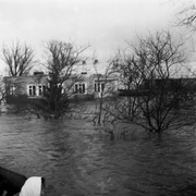 Wielka woda pod Elblągiem. Tak było 40 lat temu...  (Elbląskie Archiwum Foto) 