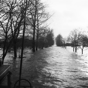 Wielka woda pod Elblągiem. Tak było 40 lat temu...  (Elbląskie Archiwum Foto) 