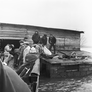 Wielka woda pod Elblągiem. Tak było 40 lat temu...  (Elbląskie Archiwum Foto) 