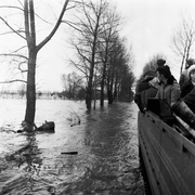 Wielka woda pod Elblągiem. Tak było 40 lat temu...  (Elbląskie Archiwum Foto) 