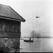 Wielka woda pod Elblągiem. Tak było 40 lat temu...  (Elbląskie Archiwum Foto) 