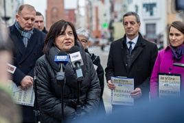 Zbierali podpisy za refundacją in vitro