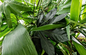 Do kiosku po naturę