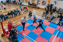 Tygrysy przed sezonem