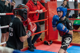 Tygrysy przed sezonem