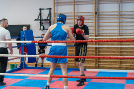 Tygrysy przed sezonem