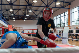 Tygrysy przed sezonem