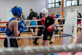 Tygrysy przed sezonem