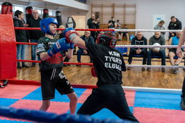 Tygrysy przed sezonem